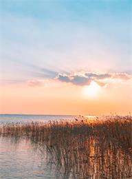 welcome大发系统-追求康健,你我一起生长