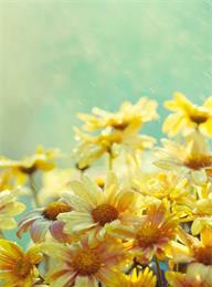 welcome大发系统-追求康健,你我一起生长