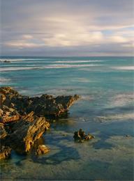 welcome大发系统-追求康健,你我一起生长