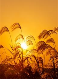 welcome大发系统-追求康健,你我一起生长