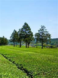 welcome大发系统-追求康健,你我一起生长