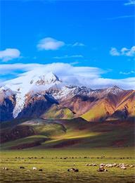 welcome大发系统-追求康健,你我一起生长