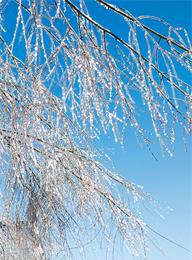 welcome大发系统-追求康健,你我一起生长