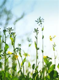 welcome大发系统-追求康健,你我一起生长