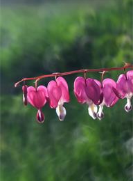 welcome大发系统-追求康健,你我一起生长