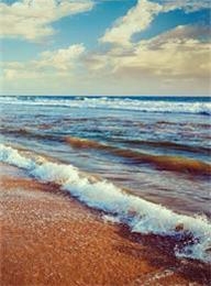 welcome大发系统-追求康健,你我一起生长