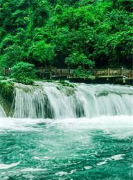 welcome大发系统-追求康健,你我一起生长