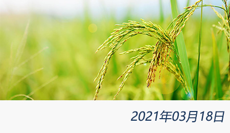 welcome大发系统-追求康健,你我一起生长