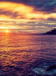 welcome大发系统-追求康健,你我一起生长