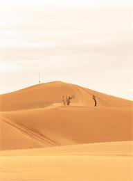 welcome大发系统-追求康健,你我一起生长