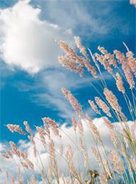 welcome大发系统-追求康健,你我一起生长