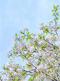 welcome大发系统-追求康健,你我一起生长