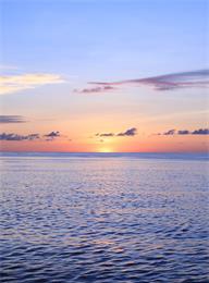 welcome大发系统-追求康健,你我一起生长