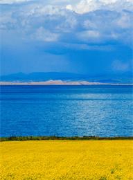 welcome大发系统-追求康健,你我一起生长