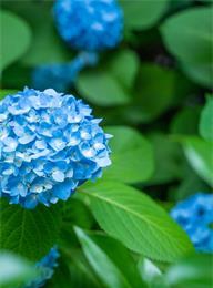 welcome大发系统-追求康健,你我一起生长