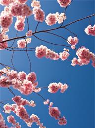 welcome大发系统-追求康健,你我一起生长