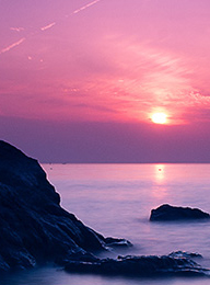 welcome大发系统-追求康健,你我一起生长