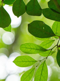 welcome大发系统-追求康健,你我一起生长