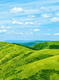 welcome大发系统-追求康健,你我一起生长