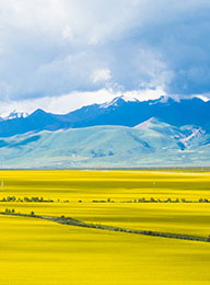 welcome大发系统-追求康健,你我一起生长