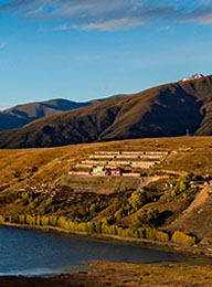 welcome大发系统-追求康健,你我一起生长