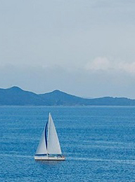 welcome大发系统-追求康健,你我一起生长