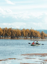 welcome大发系统-追求康健,你我一起生长