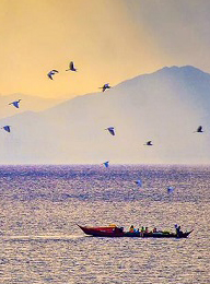 welcome大发系统-追求康健,你我一起生长