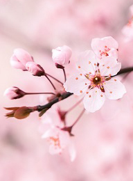 welcome大发系统-追求康健,你我一起生长