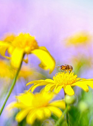 welcome大发系统-追求康健,你我一起生长