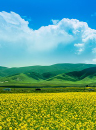 welcome大发系统-追求康健,你我一起生长