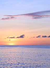 welcome大发系统-追求康健,你我一起生长