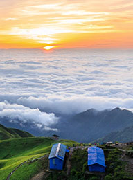 welcome大发系统-追求康健,你我一起生长