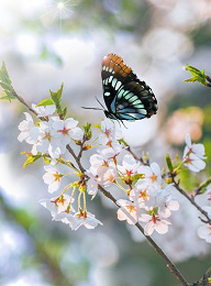 welcome大发系统-追求康健,你我一起生长