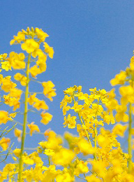 welcome大发系统-追求康健,你我一起生长