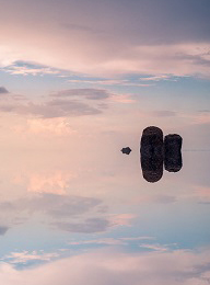 welcome大发系统-追求康健,你我一起生长