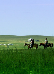 welcome大发系统-追求康健,你我一起生长