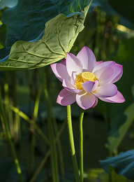 welcome大发系统-追求康健,你我一起生长