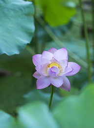 welcome大发系统-追求康健,你我一起生长