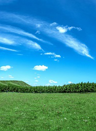 welcome大发系统-追求康健,你我一起生长