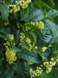 welcome大发系统-追求康健,你我一起生长