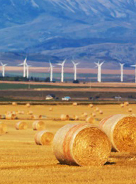 welcome大发系统-追求康健,你我一起生长