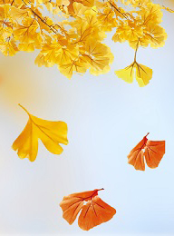 welcome大发系统-追求康健,你我一起生长