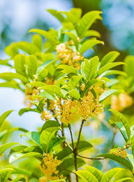 welcome大发系统-追求康健,你我一起生长