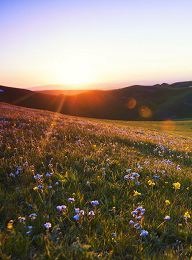 welcome大发系统-追求康健,你我一起生长