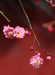 welcome大发系统-追求康健,你我一起生长