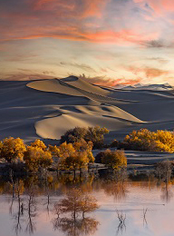 welcome大发系统-追求康健,你我一起生长