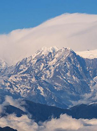 welcome大发系统-追求康健,你我一起生长