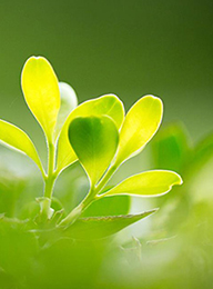 welcome大发系统-追求康健,你我一起生长