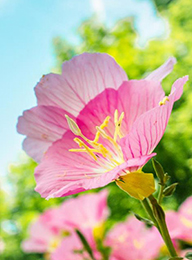 welcome大发系统-追求康健,你我一起生长